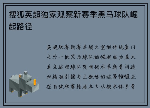 搜狐英超独家观察新赛季黑马球队崛起路径