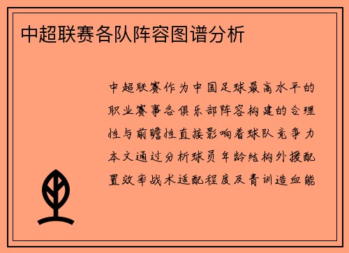 中超联赛各队阵容图谱分析